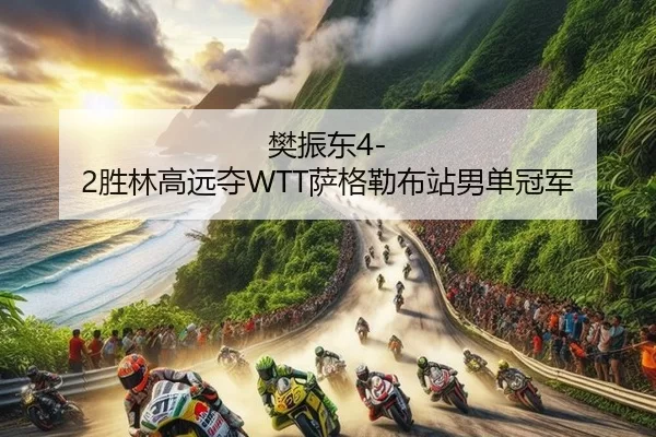 樊振东4-2胜林高远夺WTT萨格勒布站男单冠军